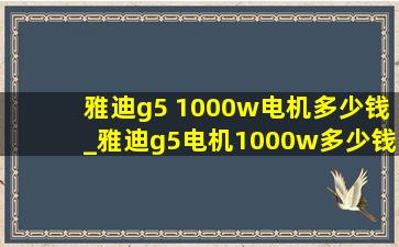 雅迪g5 1000w电机多少钱_雅迪g5电机1000w多少钱